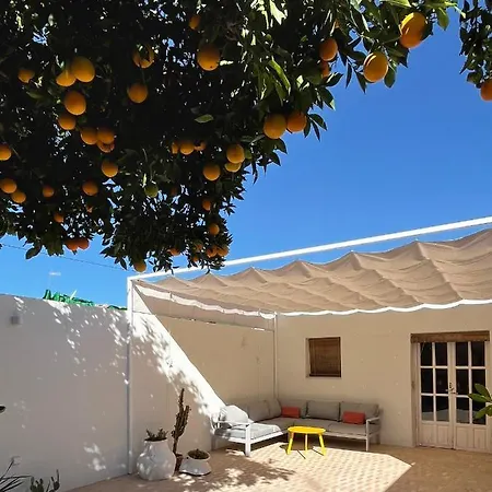 Design & Art, Patio With Orange Tree, Near Seville *