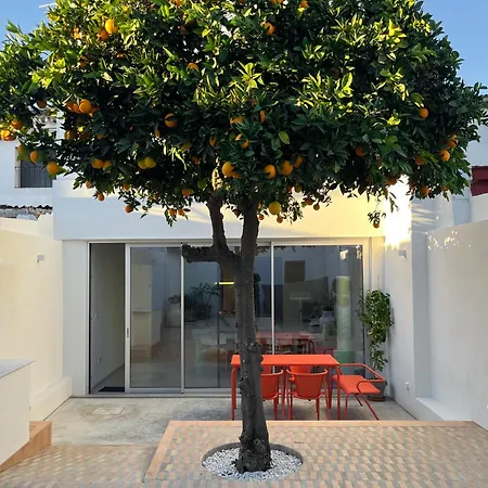 Design & Art, Patio With Orange Tree, Near Seville