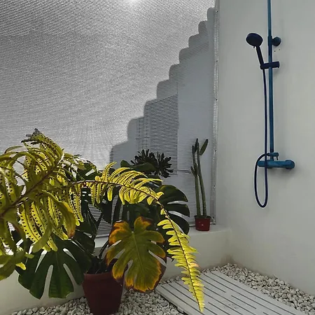Design & Art, Patio With Orange Tree, Near Seville Διαμέρισμα Carrion de Los Cespedes
