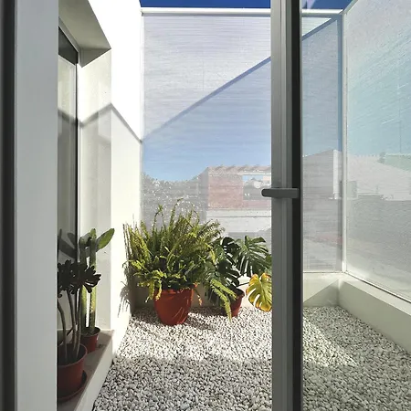 Design & Art, Patio With Orange Tree, Near Seville Carrion de Los Cespedes